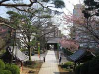 護国寺境内