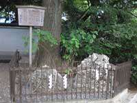 山王日枝神社さざれ石