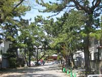 善養寺参道