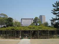 江戸川区善養寺