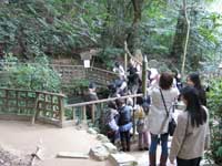 八重垣神社鏡の池