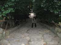 真名井神社内参道