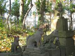白狐社鳥居