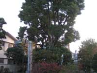 正王寺境内庭園