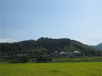 宗清寺概観