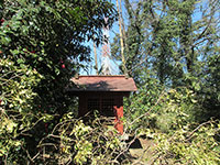 玉井諏訪神社