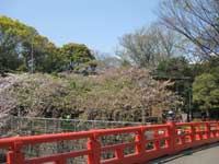 荏原神社拝殿