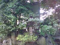 葛谷御霊の力石