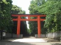 井草八幡宮鳥居