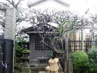 松源寺