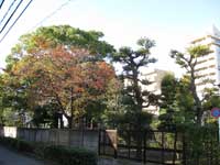 養福寺の庭園