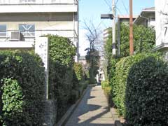 中曽根神社参道