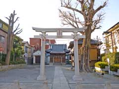 本木御嶽神社鳥居とイチョウ