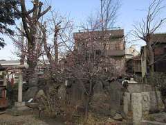 千住神社浅間社