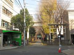 駒込天祖神社鳥居