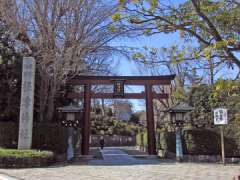 根津神社鳥居