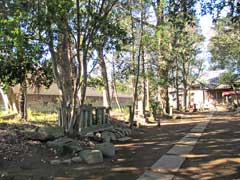 青山八幡神社石祠群