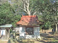 根戸新田水神社