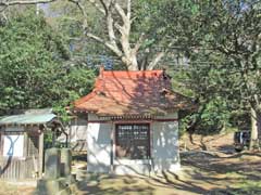 根戸新田水神社