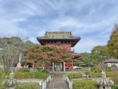 大巌寺山門