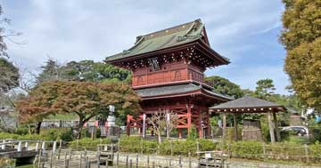 浄土宗檀林龍澤山大巌寺