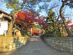 高徳寺参道