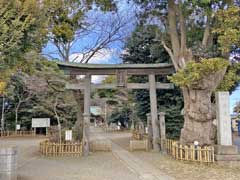 子安神社鳥居