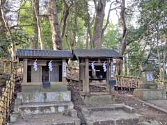 子安神社境内社大杉・古峰と石祠