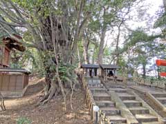 子安神社本殿後の塚