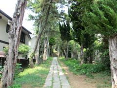 茂侶神社参道