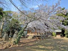 藤原神明社境内