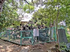 飯山満町大宮神社境内社浅間神社