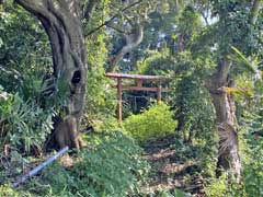 足尾諏訪神社鳥居