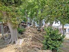 夏見稲荷神社境内社浅間大神