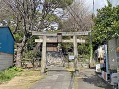 葛飾神社鳥居