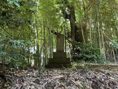 大穴北湯殿神社境内石祠