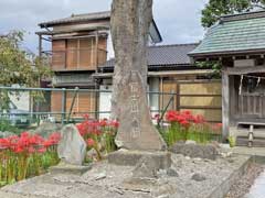 五所春日神社境内社富士山大神