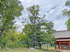 永吉平野神社境内木