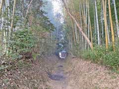 八坂神社参道