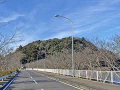 高瀧神社社叢