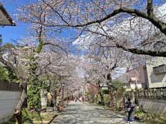 法華経寺山内参道