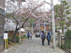 弘法寺参道