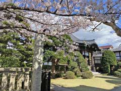 陽雲寺