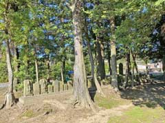 笠神社境内庚申塔群