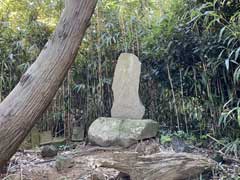 笠神蘇波鷹神社境内阿夫利石祠