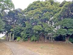 大森浅間神社外観