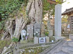 寳性寺地蔵尊など