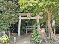 中沢八幡春日神社鳥居