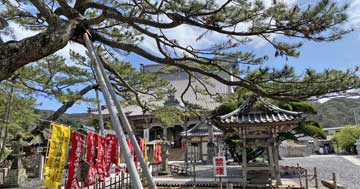 小湊山誕生寺