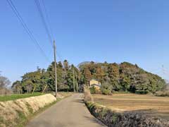 香取鳥見神社社叢